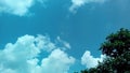 blue sky and white clouds with tree in the corner Royalty Free Stock Photo