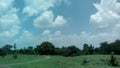 blue sky and white clouds with tree in the corner Royalty Free Stock Photo