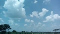 blue sky and white clouds with tree in the corner Royalty Free Stock Photo