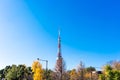 Close up view of Tokyo Tower with bright blue sky