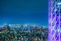 Panoramic urban city skyline aerial view under twilight sky and neon night in tokyo, Japan