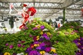 Asia China, Beijing, agricultural carnival, indoor exhibition hall, scene, Fairy, peony