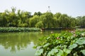 Asia China, Beijing, Beihai Park, White tower, lotus pond, the boat,