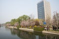 Asia China, Beijing, Dadu Ruins Park, architecture and landscapeÃ¯Â¼ÅBegonia flower, blooming Royalty Free Stock Photo