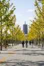 Asia China, Beijing, Garden Expo, Ginkgo Avenue, Yongding tower