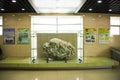 Asia China, Beijing, geological museum, indoor exhibition hall Royalty Free Stock Photo