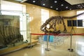 Asia China, Beijing, geological museum, indoor exhibition hall Royalty Free Stock Photo