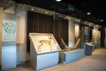 Asia China, Beijing, geological museum, indoor exhibition hall Royalty Free Stock Photo