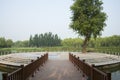 Asia China, Beijing, Haidian Park, Viewing platform Royalty Free Stock Photo