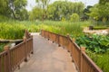 Asia China, Beijing, Haidian Park, The wooden bridge Royalty Free Stock Photo