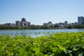 Asia China, Beijing, lotus pond park,The lotus pond, Beijing West Railway Station Royalty Free Stock Photo