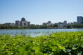 Asia China, Beijing, lotus pond park,The lotus pond, Beijing West Railway Station