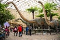 Asia, China, the Beijing Museum of Natural History, indoor exhibition hall