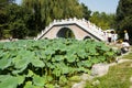 Asia China, Beijing, Old Summer Palace,Autumn lotus pond, stone bridge