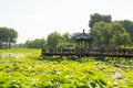 Asia China, Beijing, Old Summer Palace,Autumn lotus pond, wooden pavilion bridge Royalty Free Stock Photo