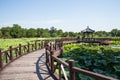 Asia China, Beijing, Old Summer Palace,Autumn lotus pond, wooden pavilion, wooden bridge Royalty Free Stock Photo