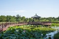 Asia China, Beijing, Old Summer Palace,lotus pond, wooden bridge,Wooden pavilion