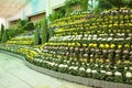 Asia, China, Beijing, shunyi flowers, port, indoor exhibition hall, chrysanthemum landscape