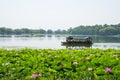 Asia China, Beijing, the Summer Palace,Lotus pond, a cruise ship Royalty Free Stock Photo