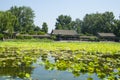 Asia China, Beijing, the Summer Palace,The pavilion, gallery, lotus pond Royalty Free Stock Photo