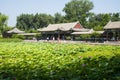 Asia China, Beijing, the Summer Palace,The pavilion, gallery, lotus pond Royalty Free Stock Photo