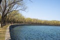 Asia China, Beijing, the Summer Palace, royal garden, spring scenery,Lake, shore tree