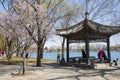 Asia China, Beijing, the Summer Palace, royal garden, spring scenery, wooden pavilion