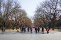 Asia China, Beijing, Tiantan Park, Winter landscape, red lanterns