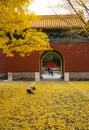 Asia China, Beijing, Zhongshan Park,Ancient architecture, ginkgo leaf