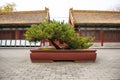 Asia China, Beijing, Zhongshan Park, landscape flower pots