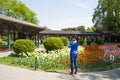 Asia China, Beijing, zhongshan parkÃ¯Â¼ÅSpring landscape, long gallery, tulip