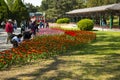 Asia China, Beijing, zhongshan parkÃ¯Â¼ÅSpring landscape, tulips