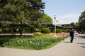 Asia China, Beijing, zhongshan parkÃ¯Â¼ÅSpring landscape,tulips