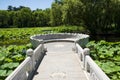 Asia China, Beijing, Zizhuyuan Park,Stone viewing platformÃ¯Â¼ÅLotus pond in summer,