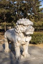 Asia China, stone carving, lion Royalty Free Stock Photo