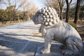 Asia China, stone carving, lion Royalty Free Stock Photo