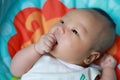 Asia Chinese adorable cute toddler baby boy son have fun play on mat pad eat his hand innocent careless childhood pure Royalty Free Stock Photo