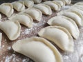 Asia Chinese traditioinal new year eve food dumplings cooked wheaten food