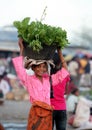 ASIA EAST TIMOR TIMOR LESTE LOSPALOS MARKET