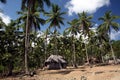 ASIA EAST TIMOR TIMOR LESTE VIQUEQUE