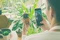 Asia entreprenrur man take photo cactus with smartphone