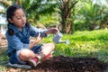 Asia girl gardener watering can water of young green plants Royalty Free Stock Photo