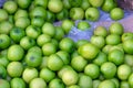 Asia green apple fruit grown in tropic market