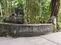 Asia Indonesia Bali Monkey Forest Park Sculpture Wild Balinese jungle plants green nature trees recreation outdoor park garden 