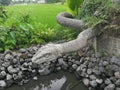 Asia Indonesia Bali Monkey Forest Park Rock Arts Stone Crafts Wild Balinese Jungle Snake Sculpture Design Nature Green Wild Animal