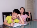 Asia little sister ridicule her brother studying and doing his h Royalty Free Stock Photo