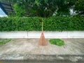 Asia local broom and green leaf beside the white wall of the house. Garden management. Home and park Royalty Free Stock Photo