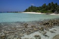 Asia,Maldive, coral reef at Asdu