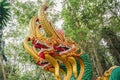 Asia naga statue with forest background Royalty Free Stock Photo