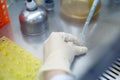 Asia scientist wears a glove and used a micropipette and transfer sample into a quartz cuvette in the biosafety hood. People in